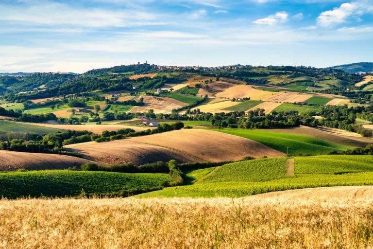 Marche's signature landscape