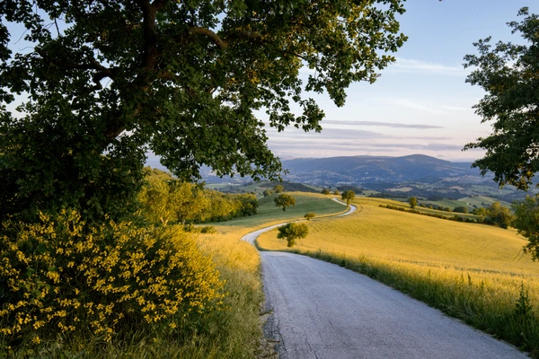 Cammino dei Cappuccini - San Severino Marche countryside